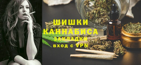дмт Елизово