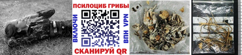цена   Кимры  Галлюциногенные грибы Magic Shrooms 