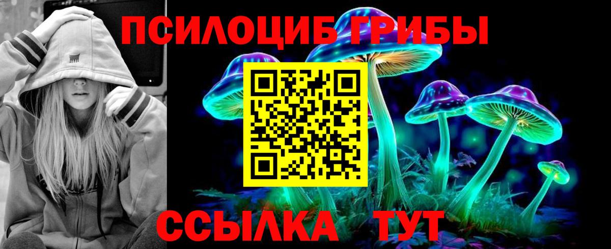 Кимры  Галлюциногенные грибы Magic Shrooms  Вход с VPN 